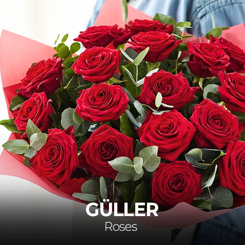 Mini Banner Position 2