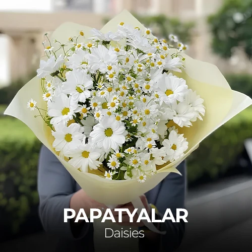 Mini Banner Position 3