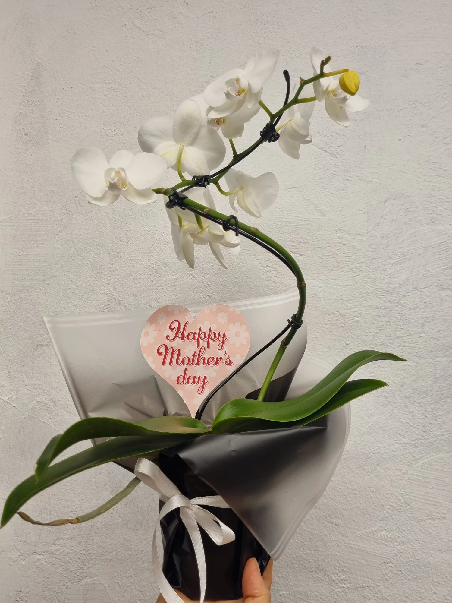 Mevsim Çiçekleriyle Evinize Renk Katın