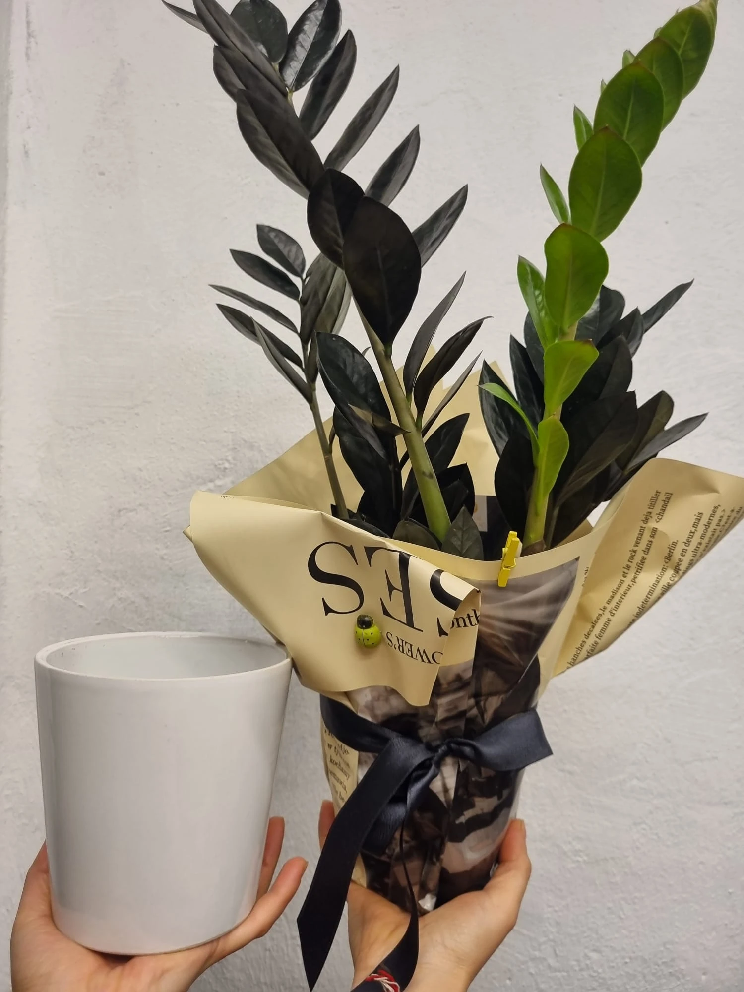 Ofisinizin Havasını Değiştirecek Çiçekler | Antalya’nın Her Noktasına Taze Dokunuş