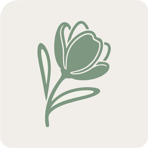 DOĞUM GÜNÜ ÇİÇEĞİ