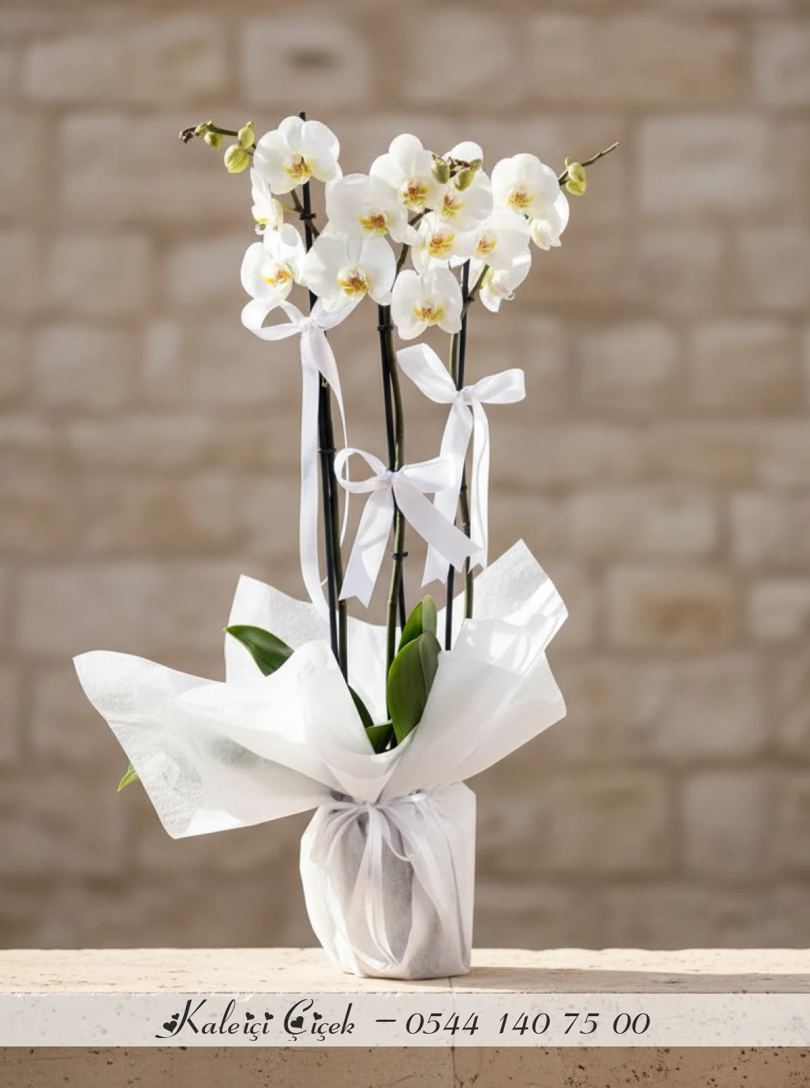 3 Dallı Beyaz Orkide