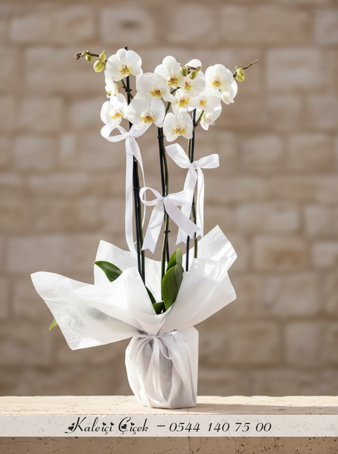 3 Dallı Beyaz Orkide