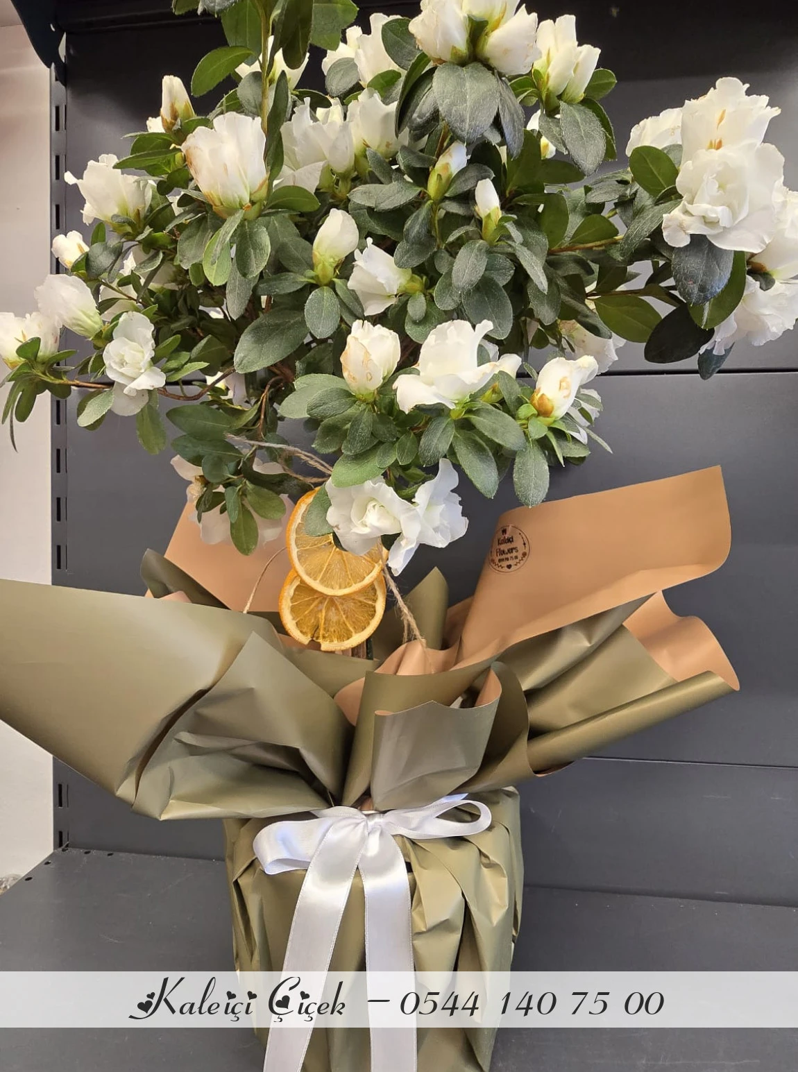 Açelya Baston Beyaz Büyük Boy İthal