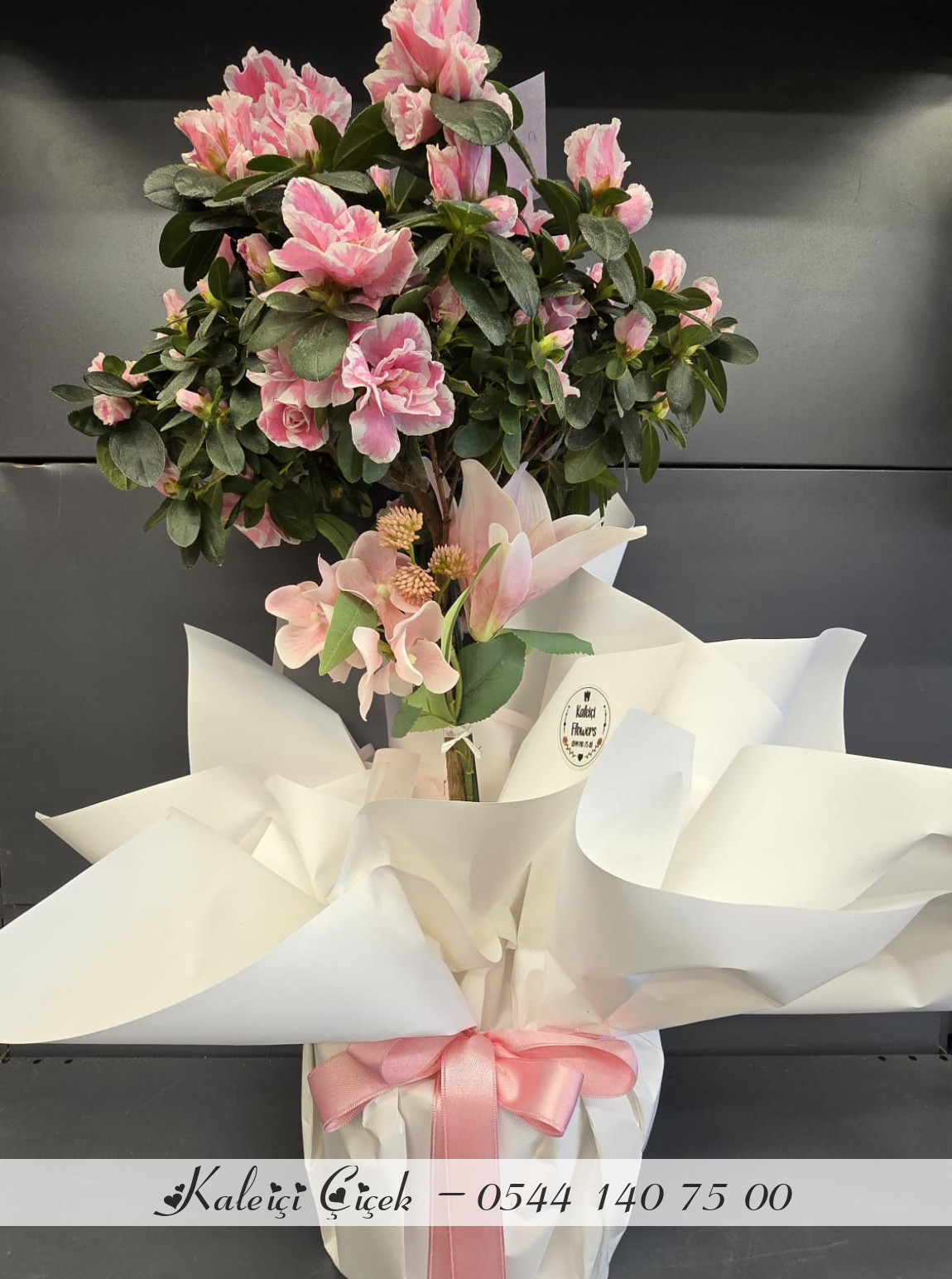 Açelya Baston Pembe Büyük Boy İthal