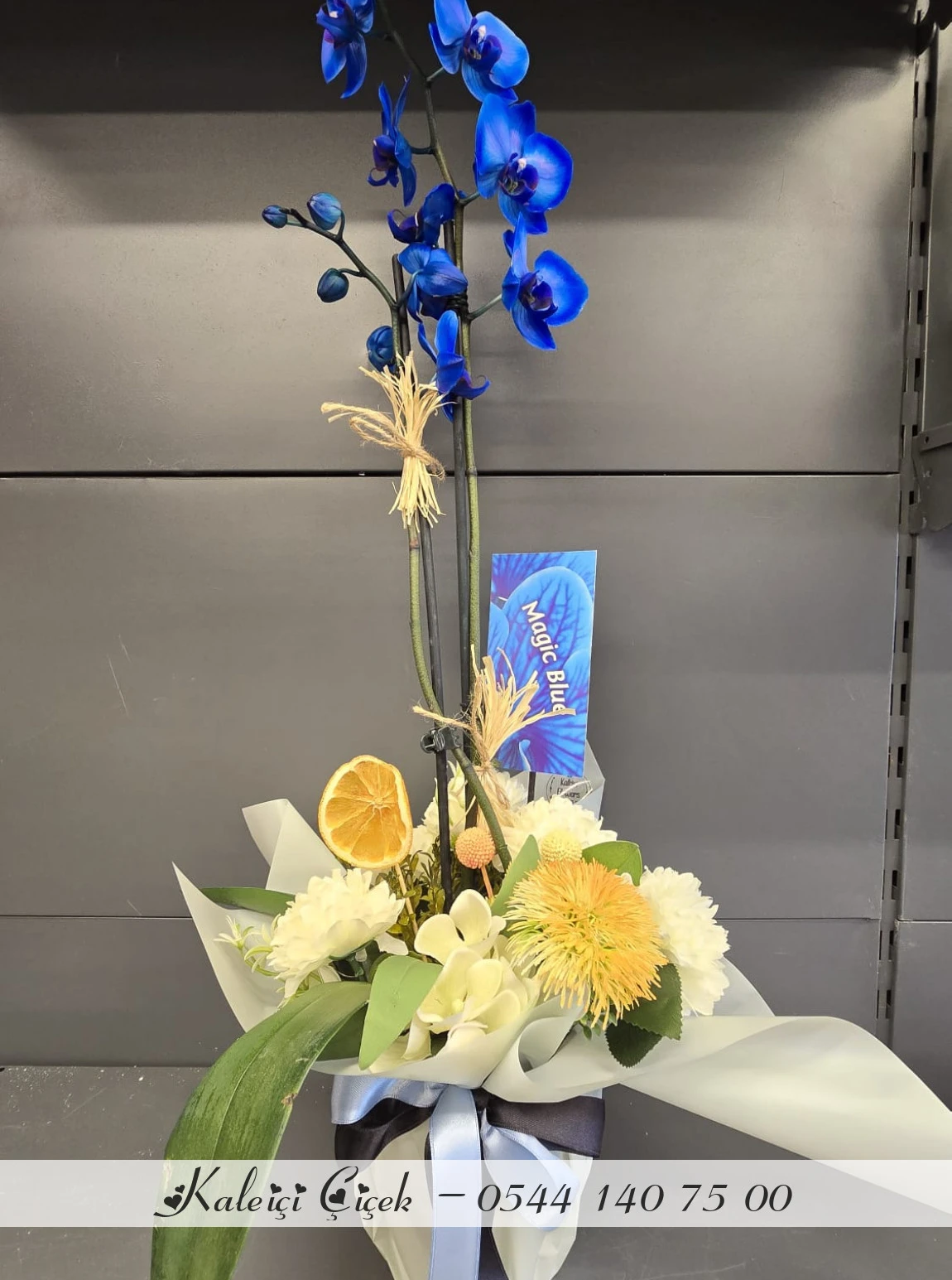 Aranjmanlı Mavi Orkide İthal Büyük Boy