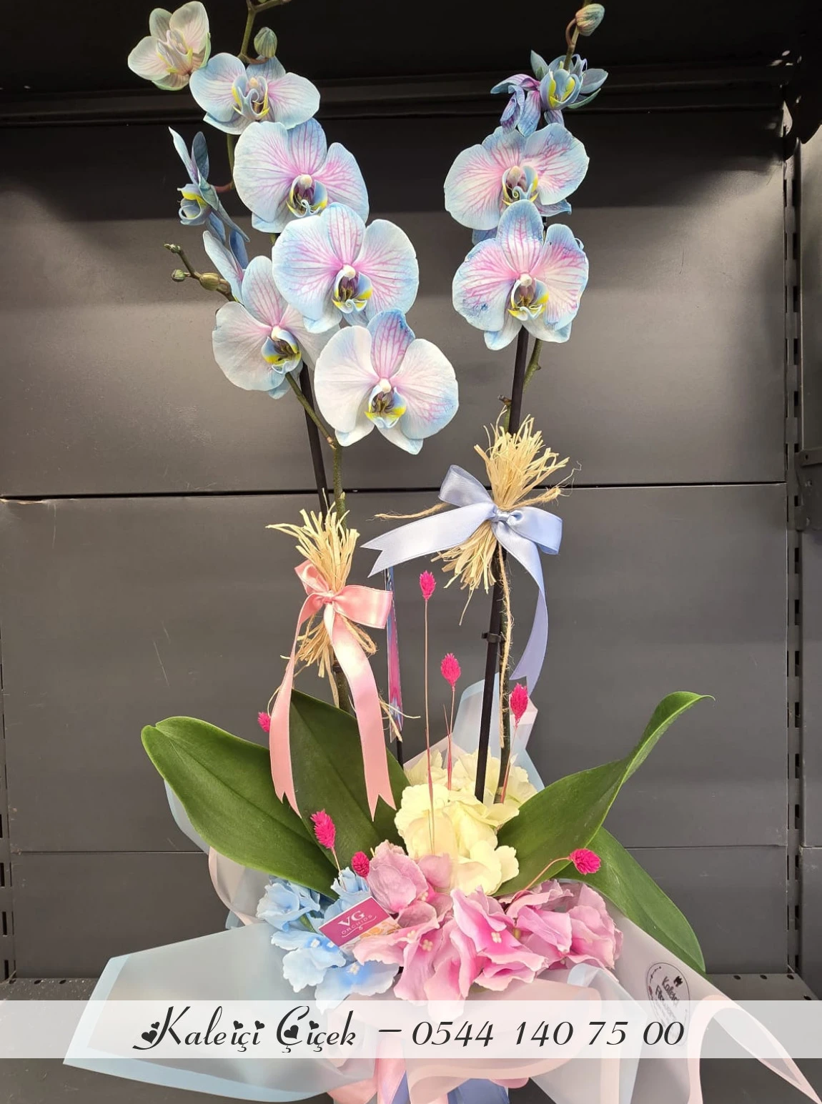 Aranjmanlı Mavi Orkide Kırçınlı Büyük Boy İthal