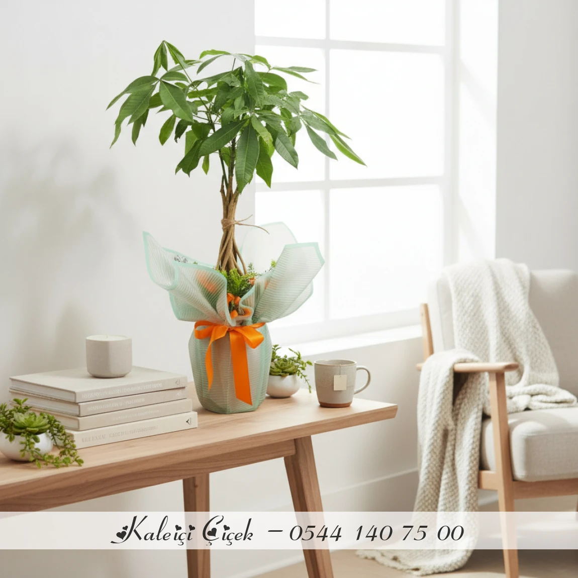 Bereket Getiren Para Ağacı