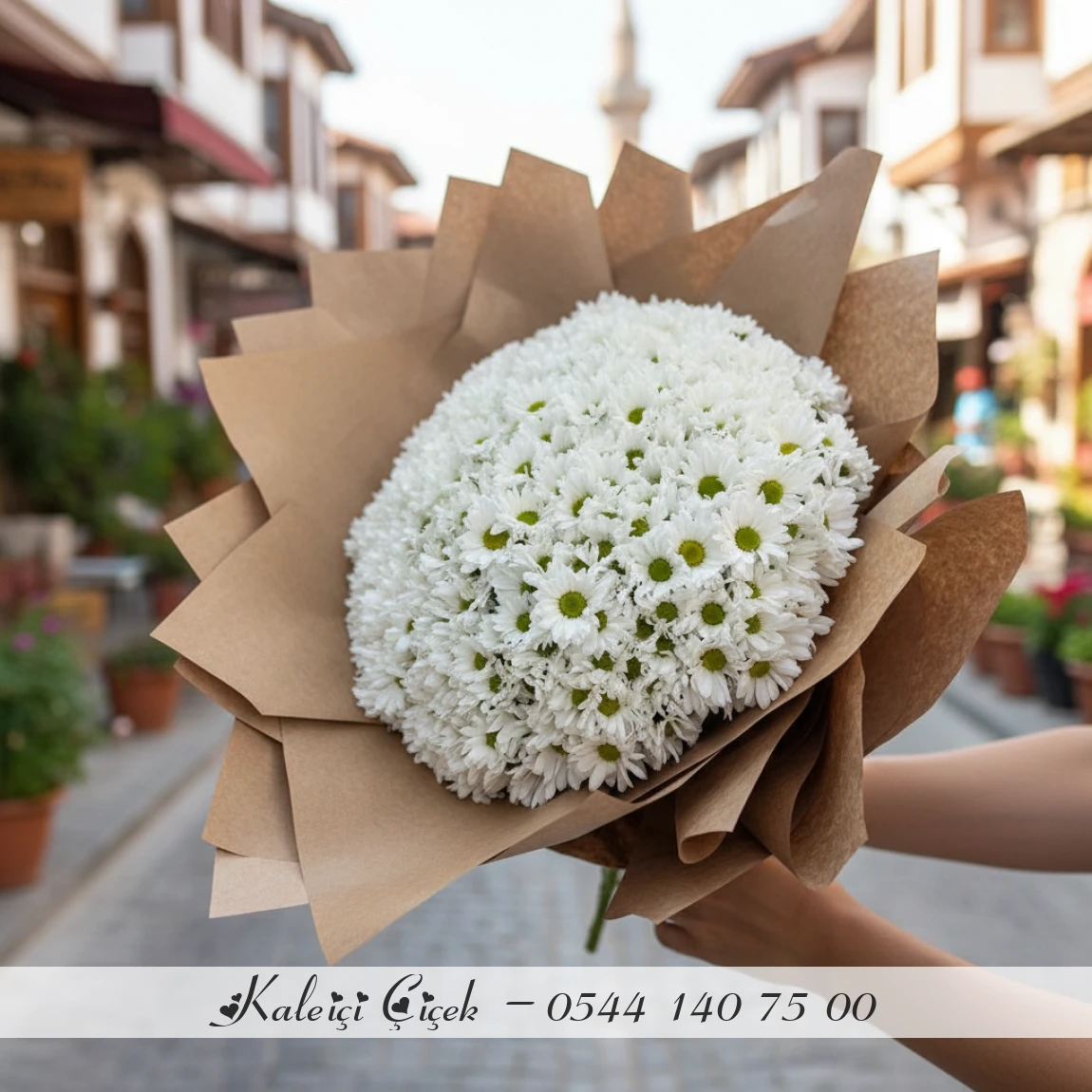 Kucak Dolusu İthal Papatya (Büyük)