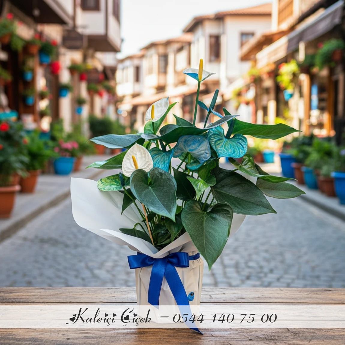 Mavi Beyaz Modern Antoryum