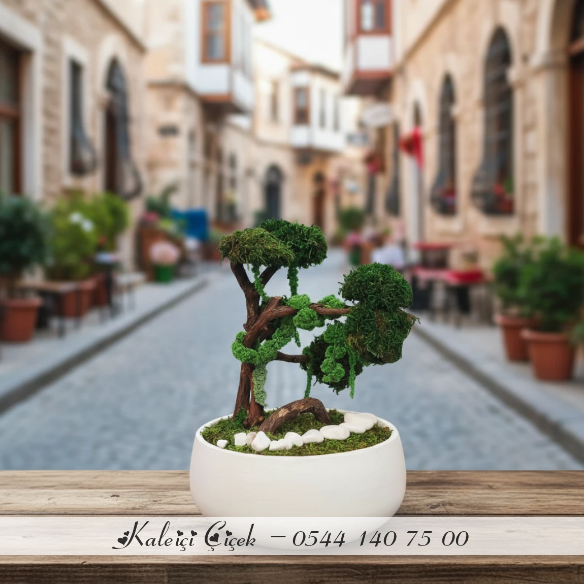 Mumyalanmış Bonzai̇