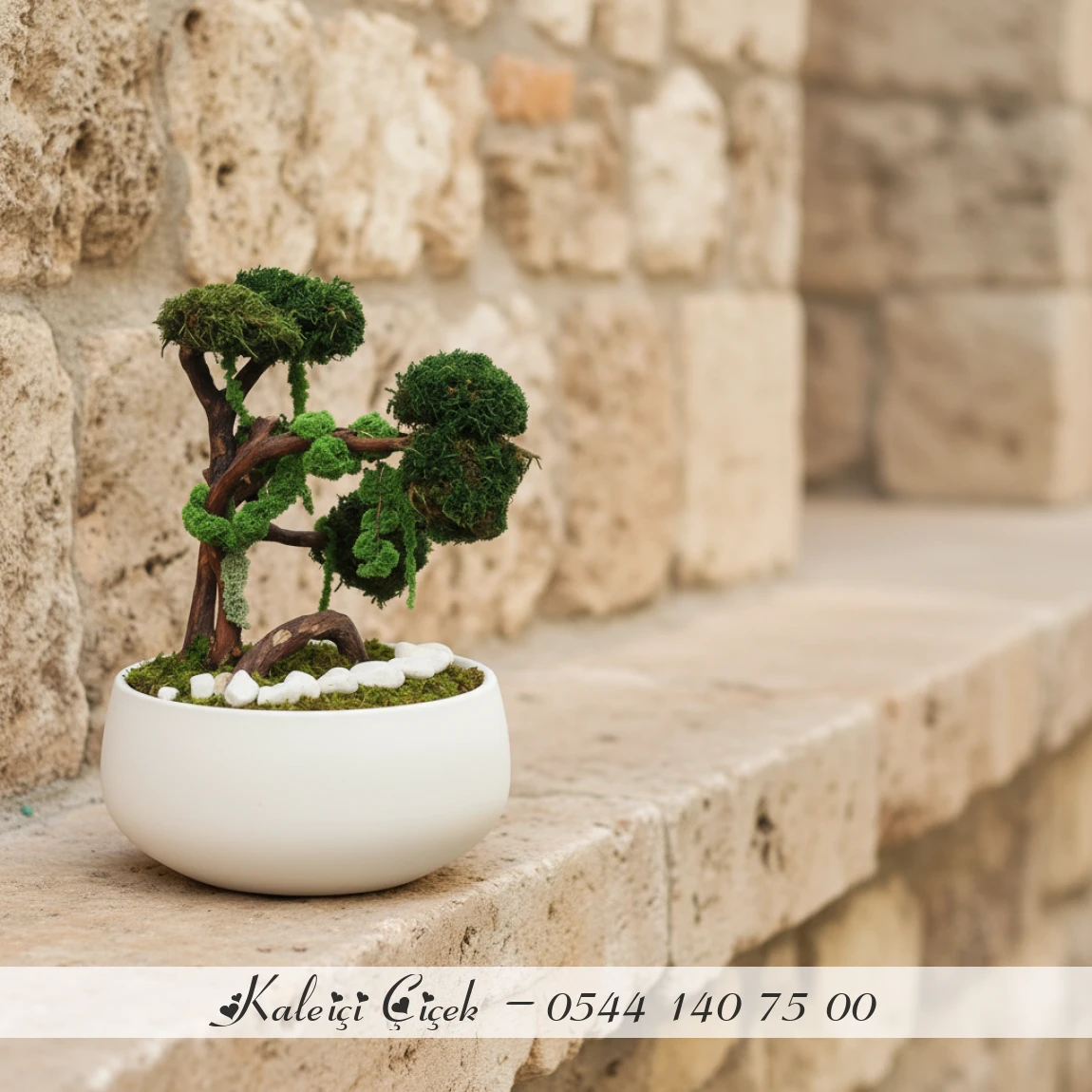 Mumyalanmış Bonzai̇