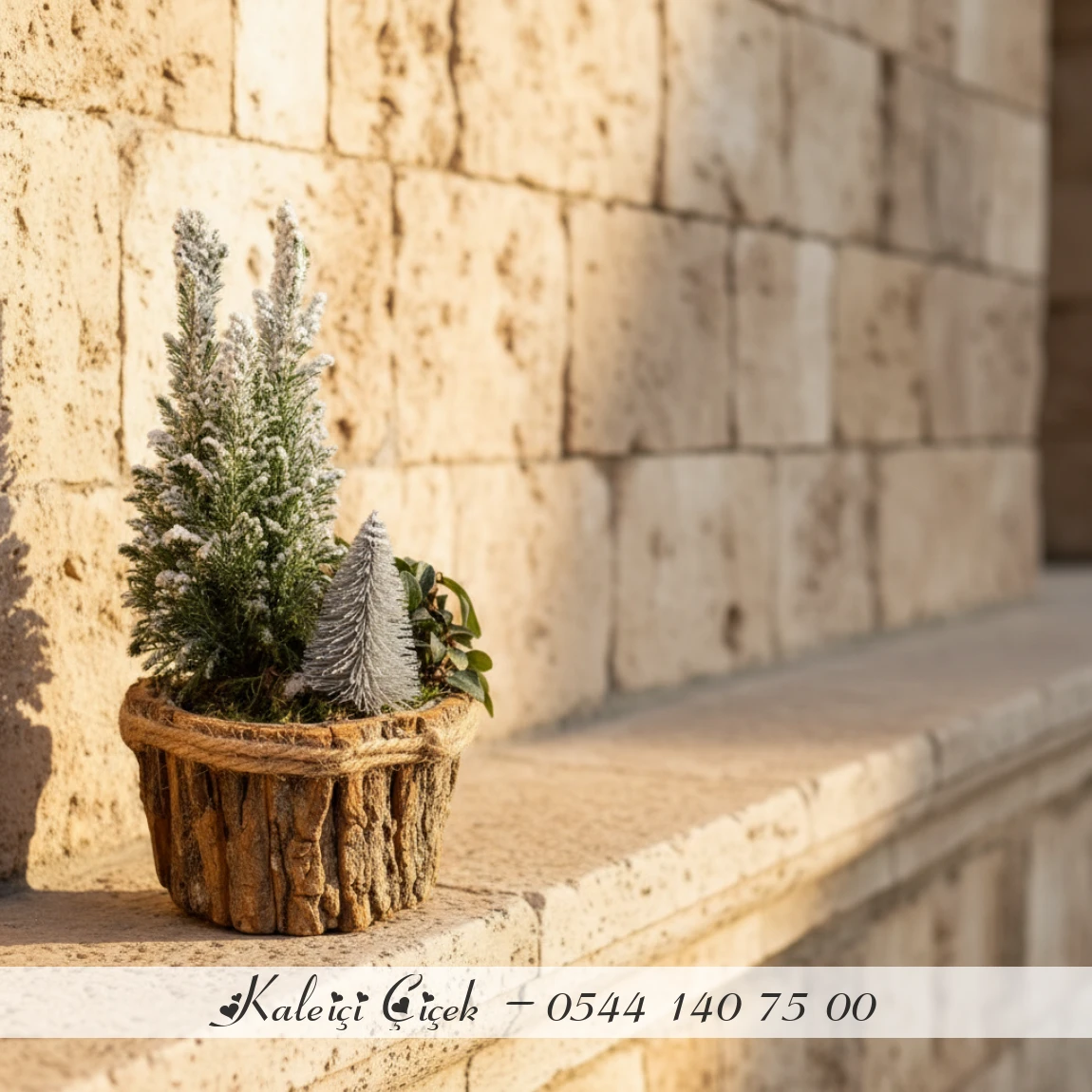 Rustik Mini Ağaç