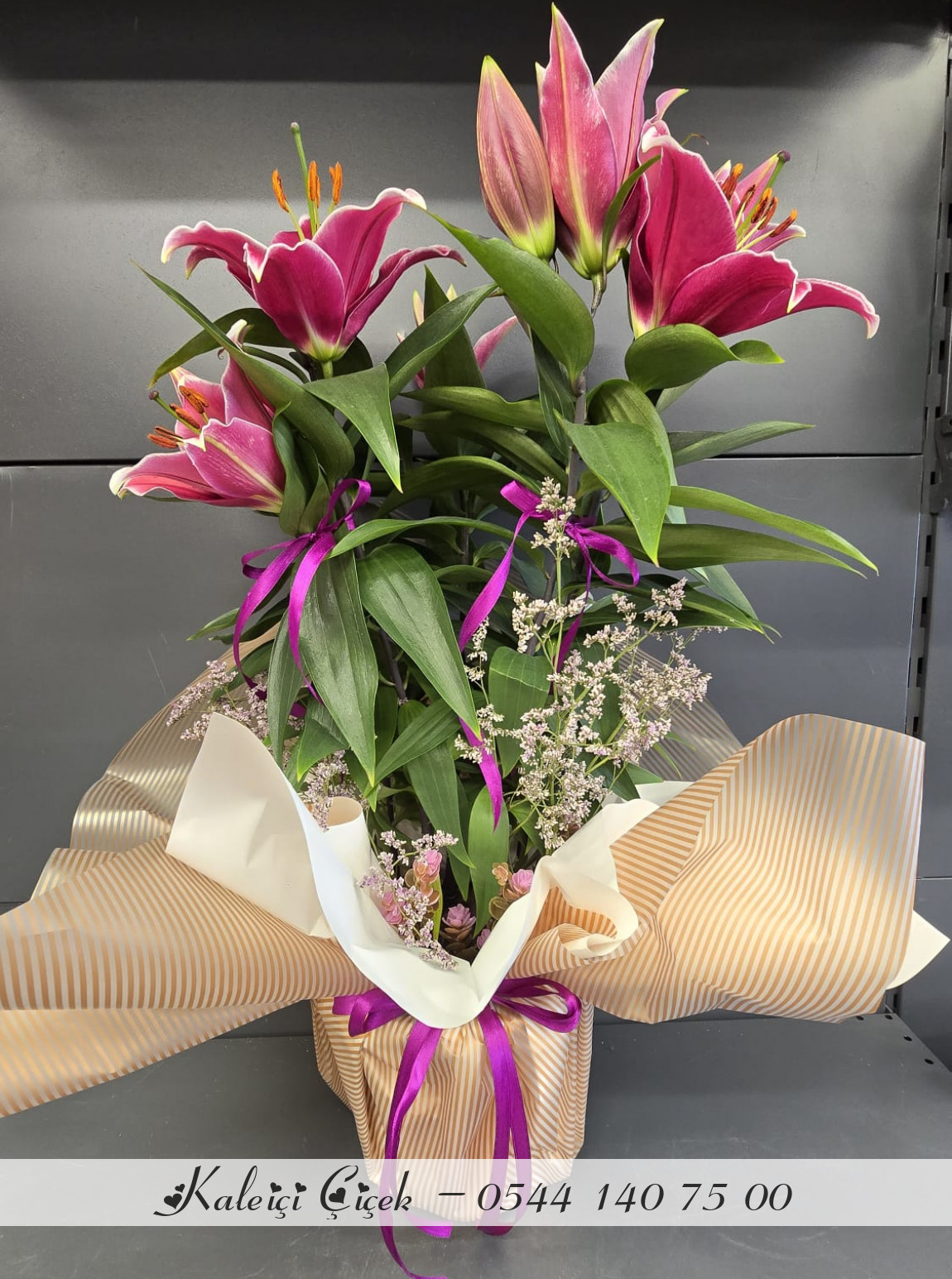 Saksıda Pembe Lilyum Kokulu Büyük Boy
