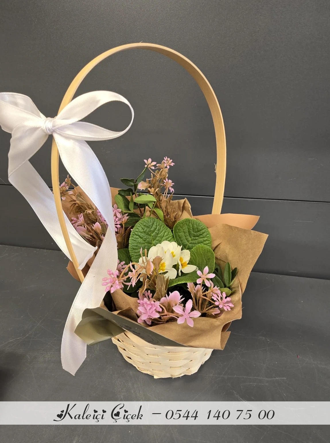 Sepette Bahar Çiçeği Orta Boy