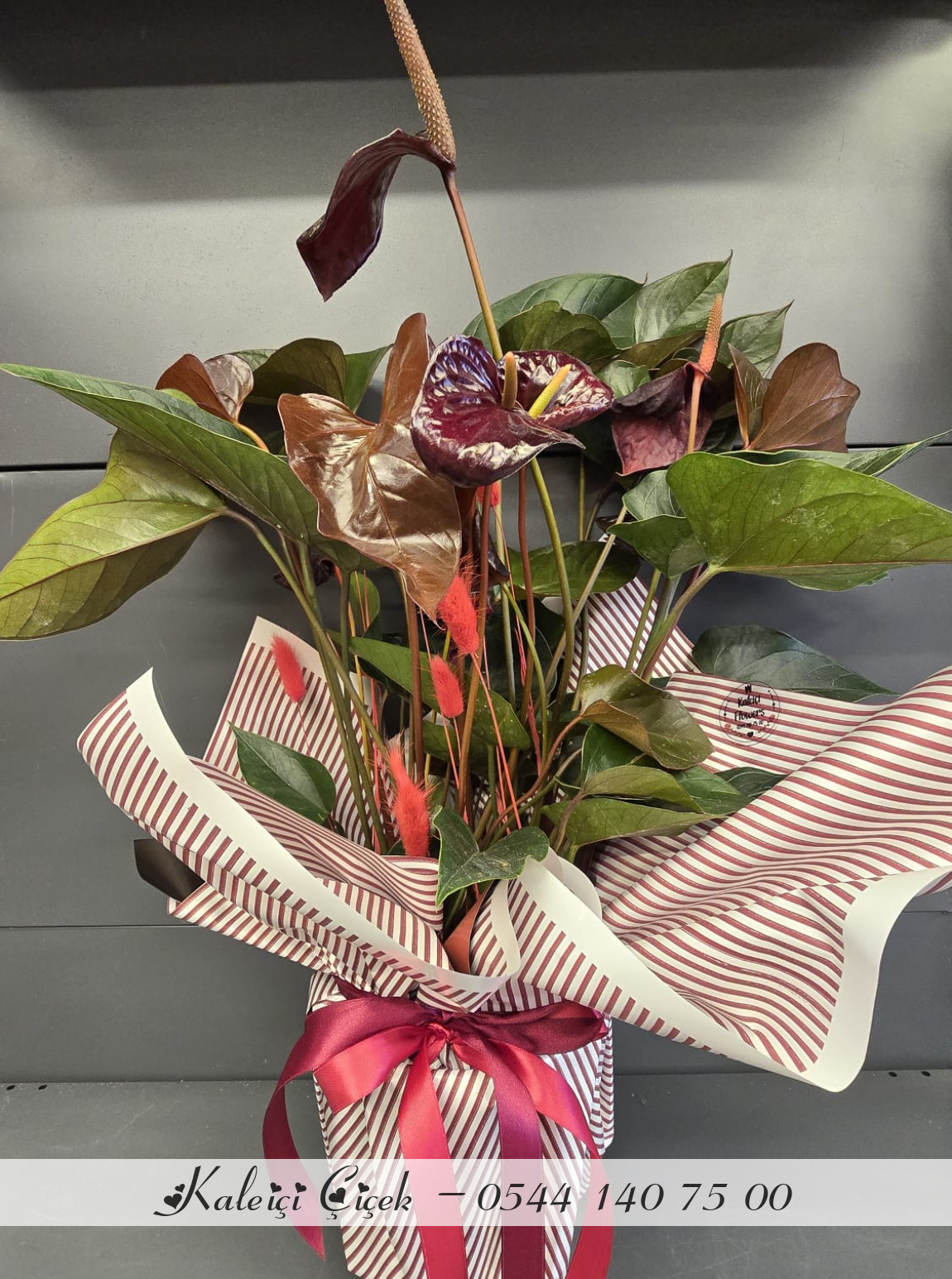 Siyah Büyük Antoryum İthal