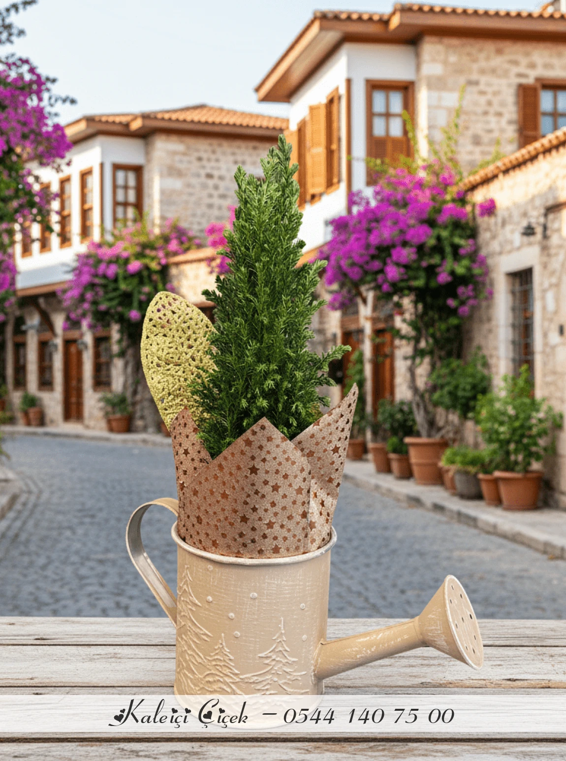 Sulama Kabı Çiçeği