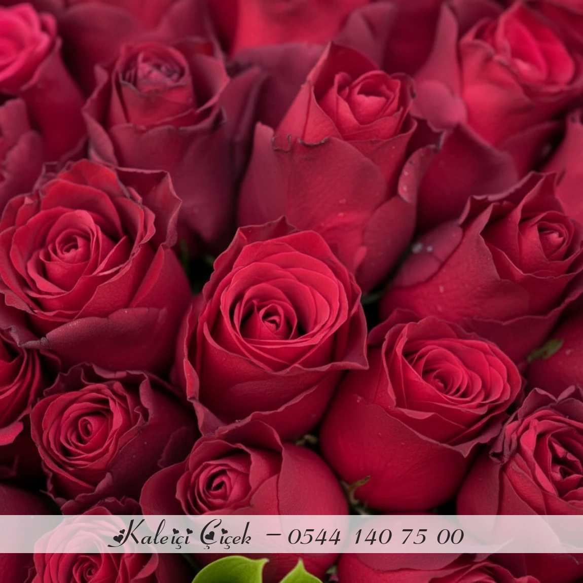 101 Adet Kırmızı İthal Güller 70Cm