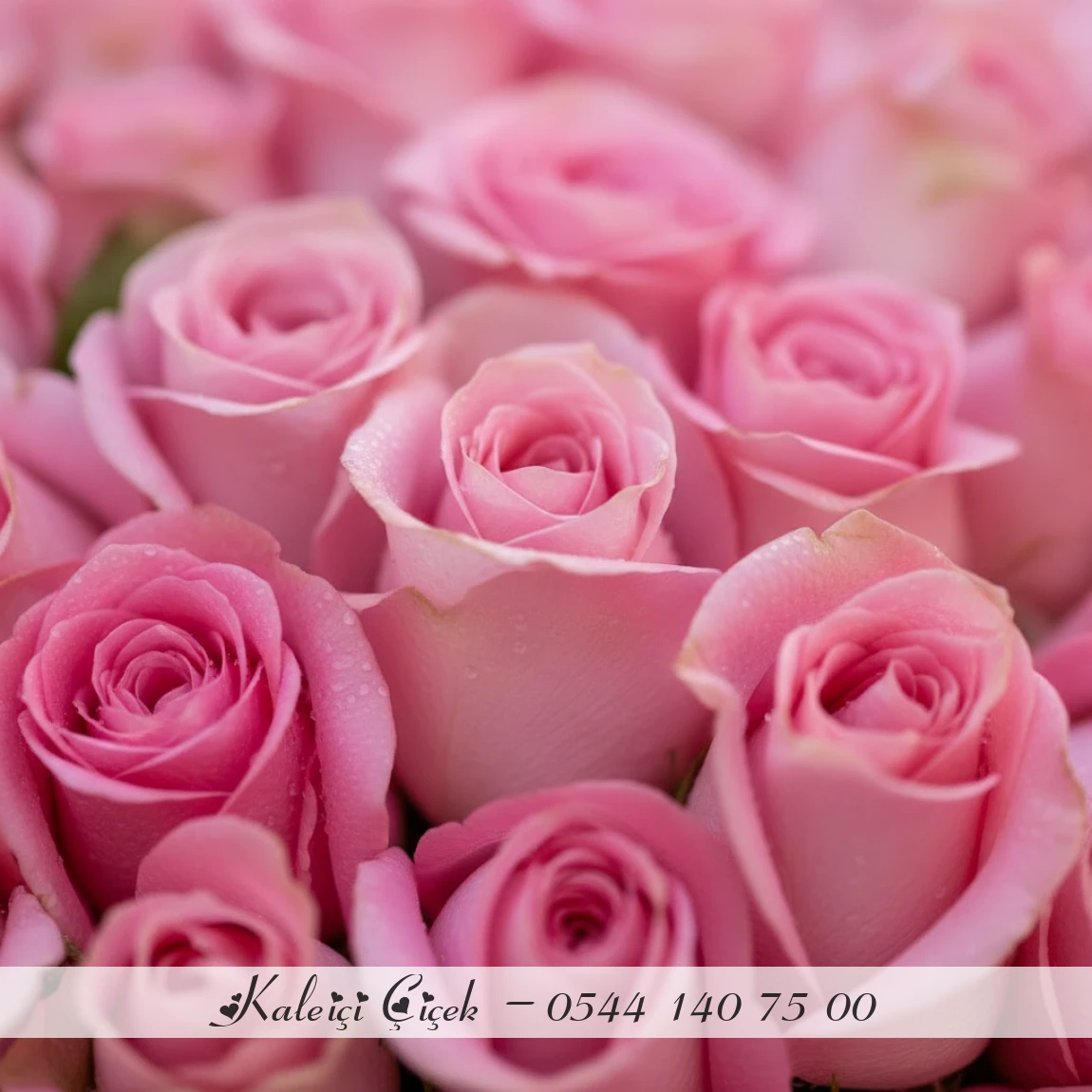 101 Adet Pembe Gül Vip Buketi