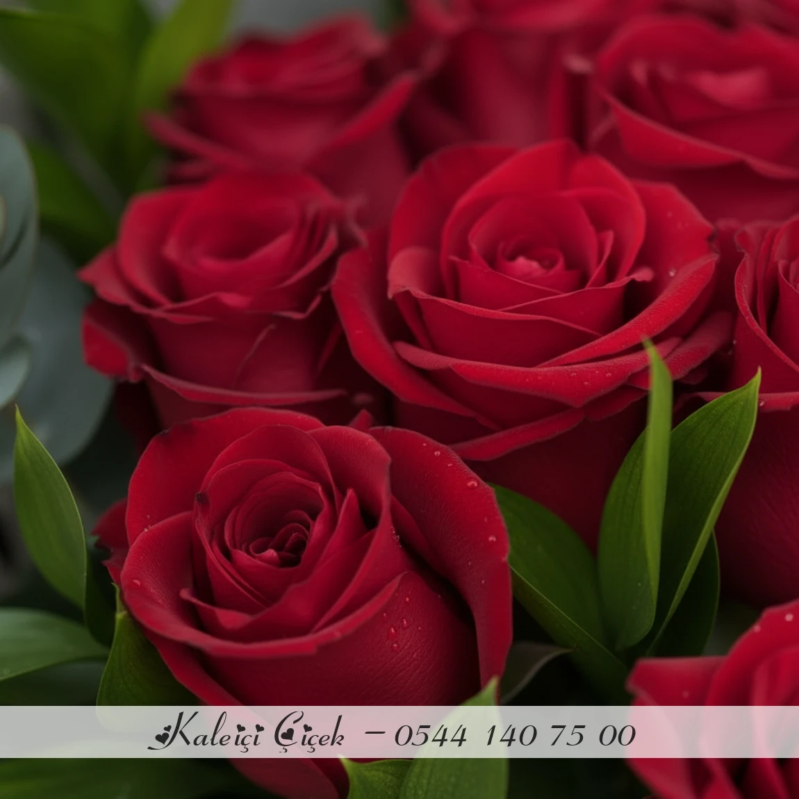 11 Adet Kırmızı İthal Güller 70Cm
