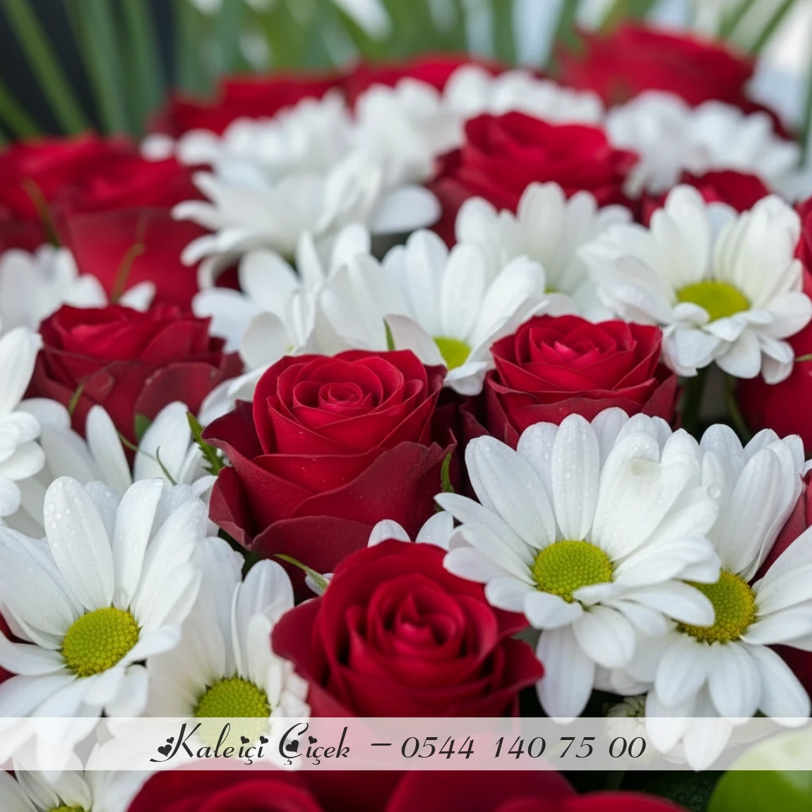 15  Adet Kırmızı Gül Ve Papatya Buketi | Aşkın Ve Samimiyetin Uyumu