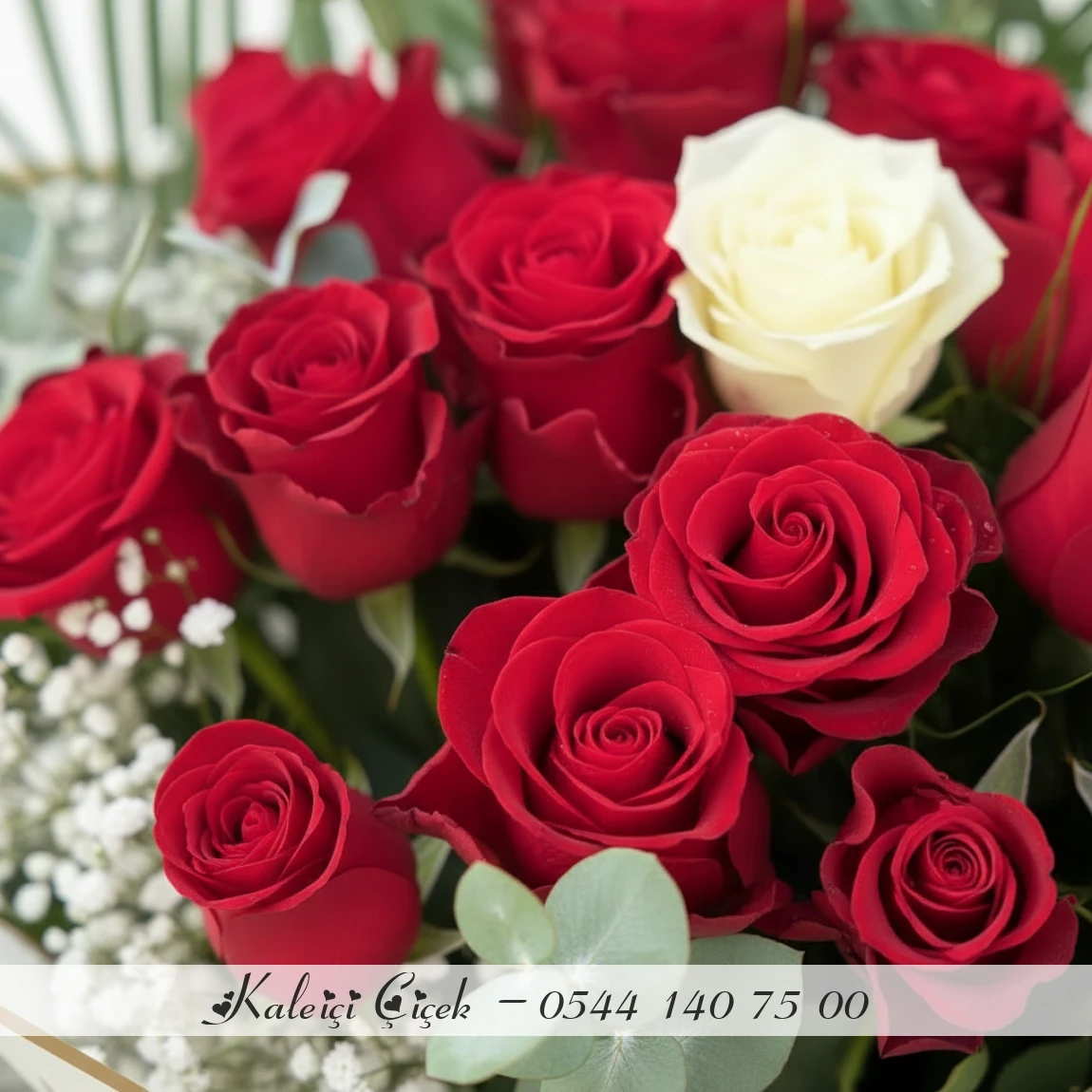 15 Adet Kırmızı İthal Güller 70Cm