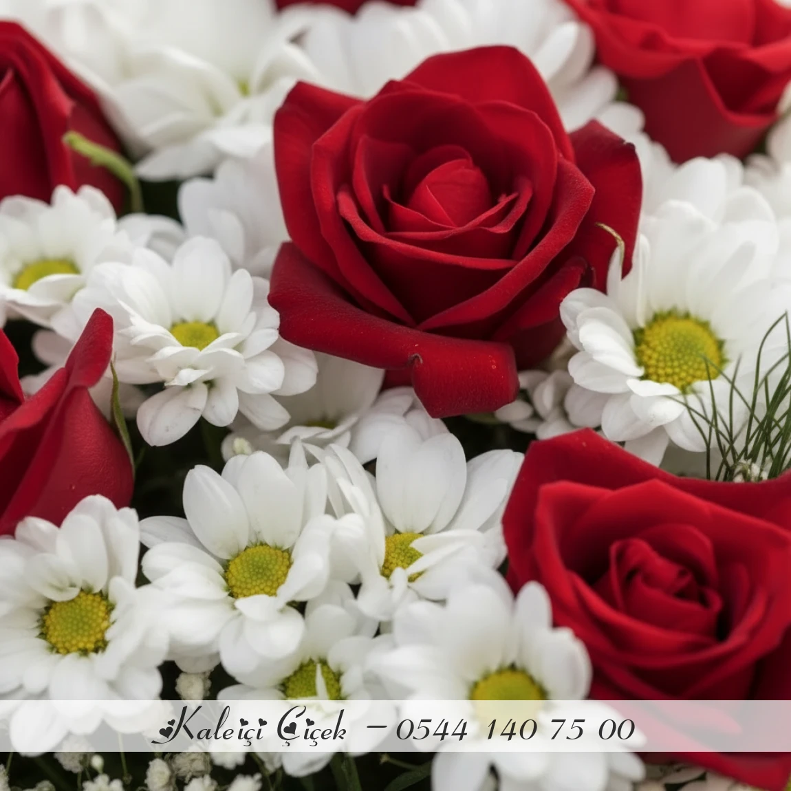 17 Gül Ve Papatyalar Kucak Dolusu