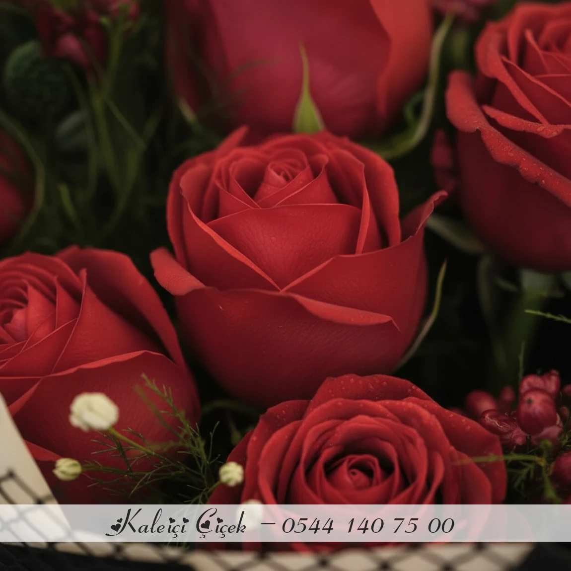 21 Adet Kırmızı İthal Güller 70Cm