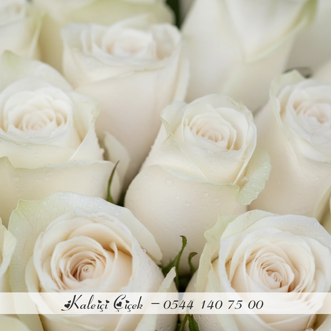 25 Adet Beyaz İthal Güller