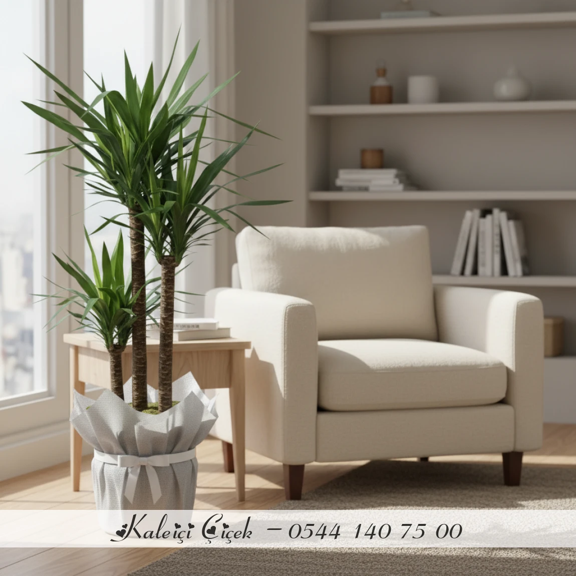 3'Lü İthal Yucca Çiçeği