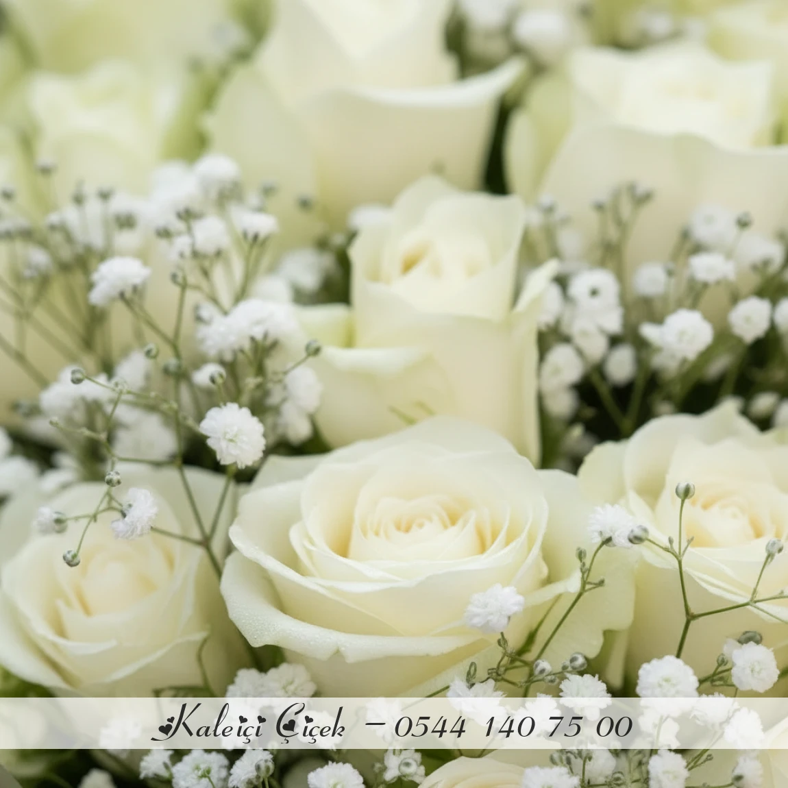 41 Adet Beyaz Gül