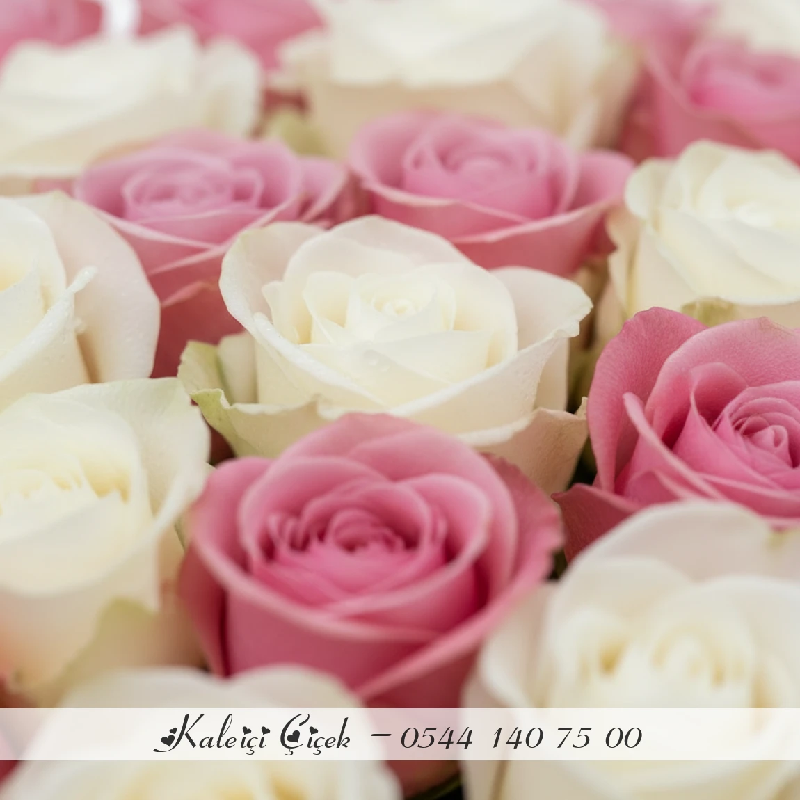 41 Adet Pembe Ve Beyaz Gül