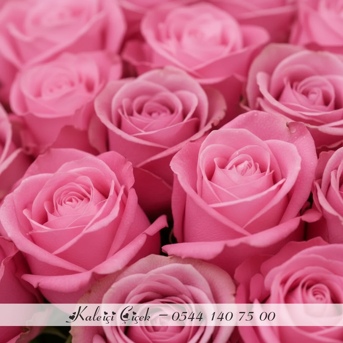 41 Adet Premium Pembe Gül