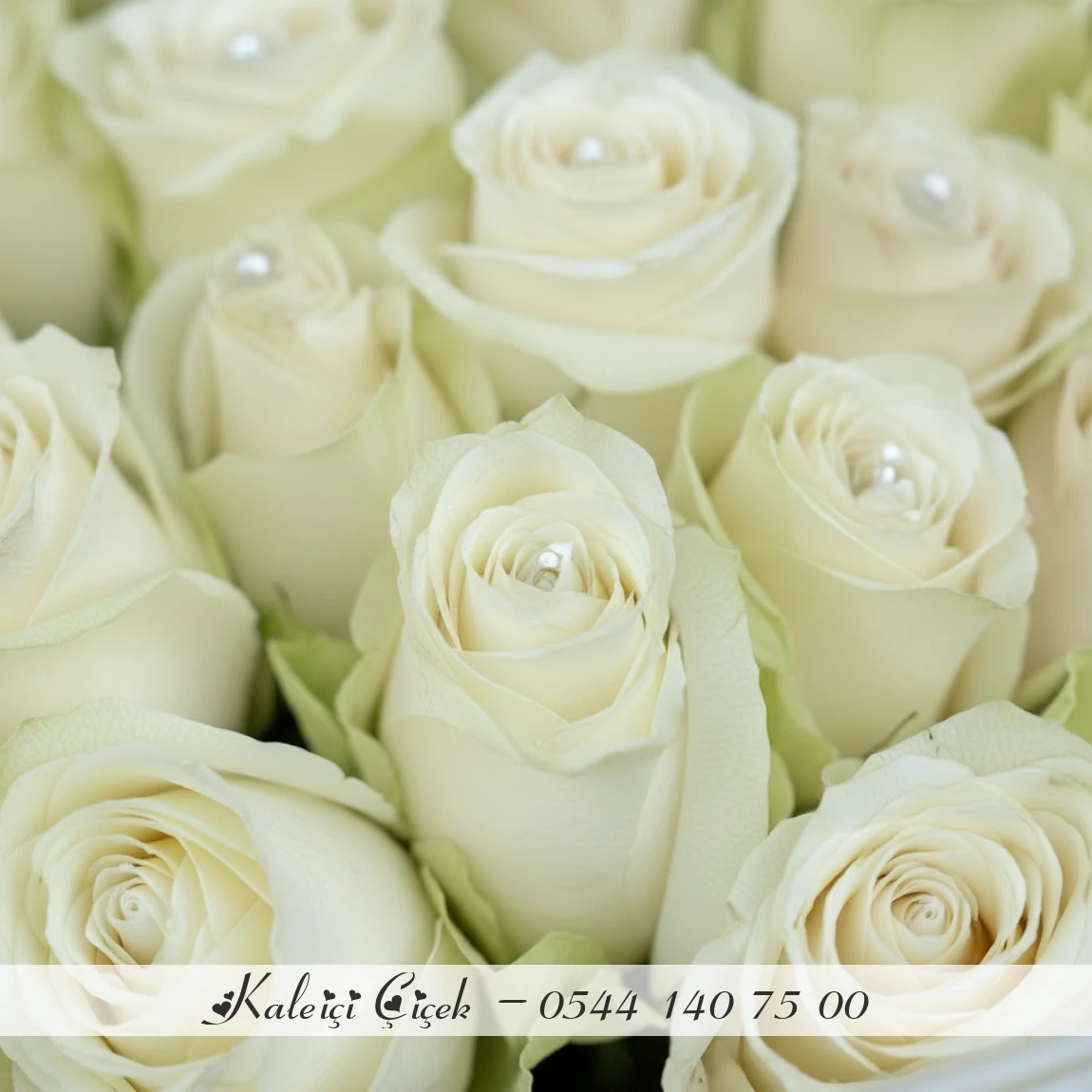 51 Adet Beyaz Gül Buketi | Saflık Ve Zarafetin İfadesi