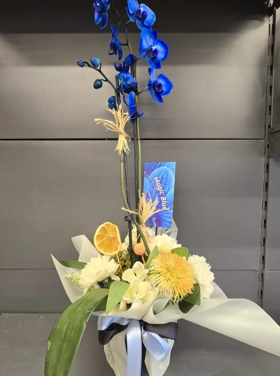 Aranjmanlı Mavi Orkide İthal Büyük Boy