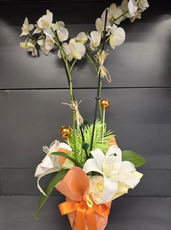 Beyaz Aranjmanlı Büyük Orkide İthal