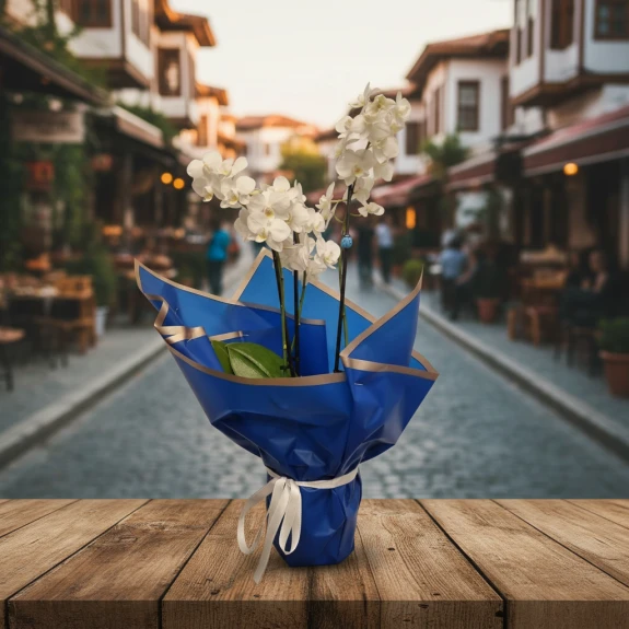 Beyaz Çift Dal Orkide