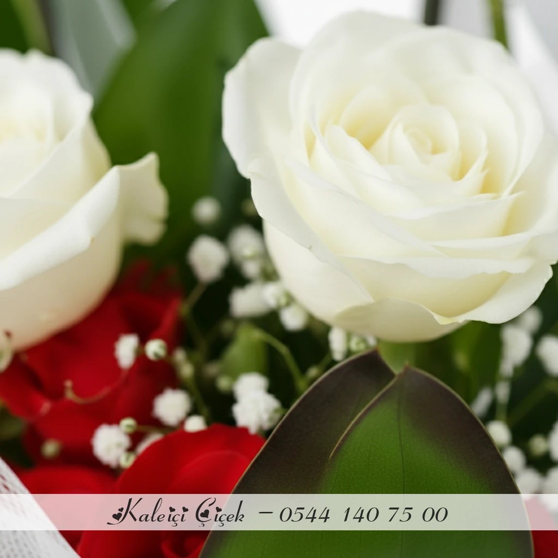 Beyaz Gül Aranjmanlı 1.Sınıf İthal Çift Dal Orkide