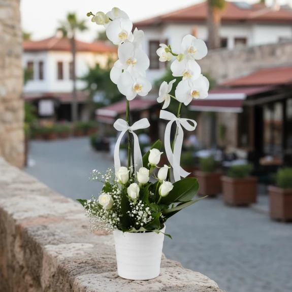 Beyaz Gül Aranjmanlı 1.Sınıf İthal Çift Dal Orkide
