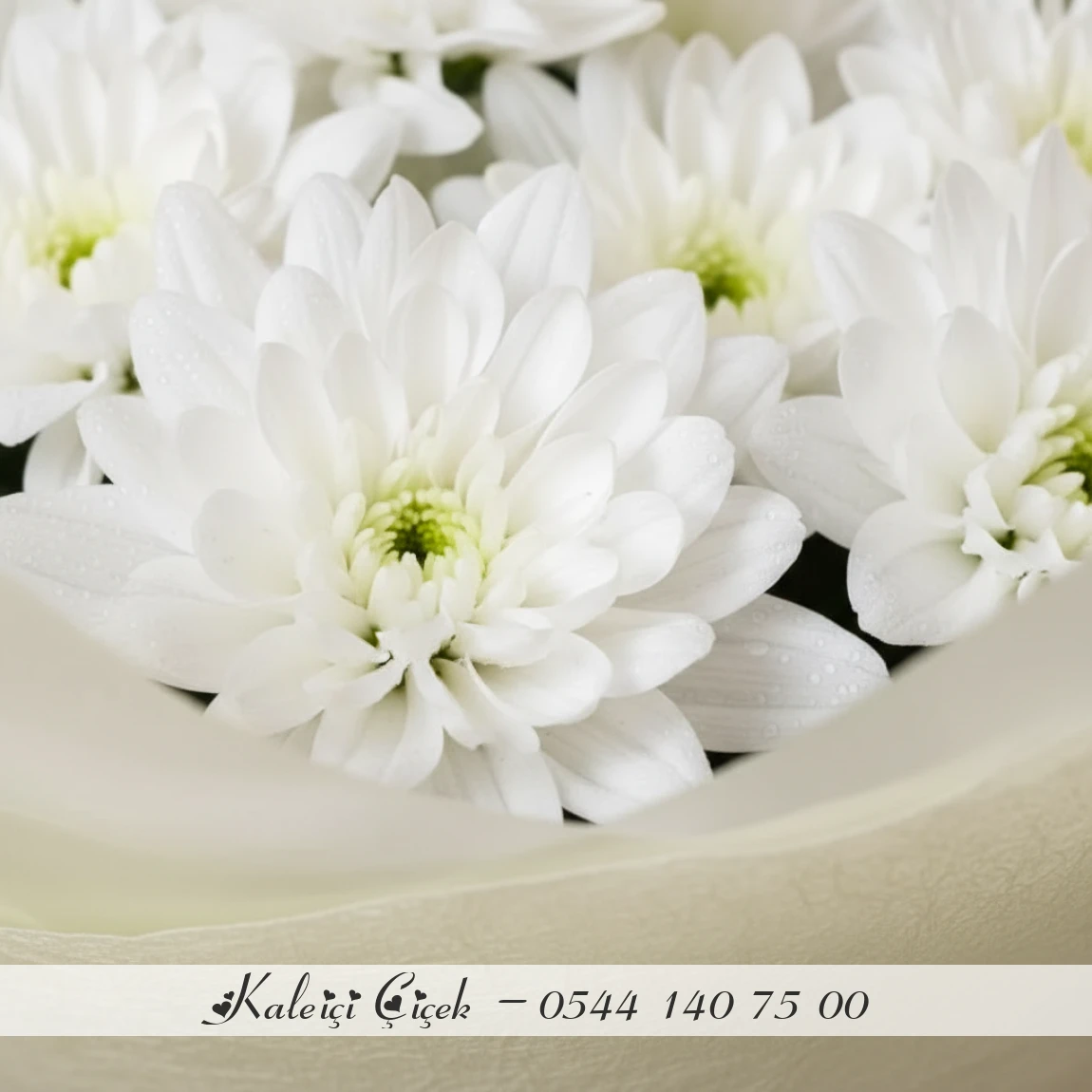 Beyaz Krizantem Buketi