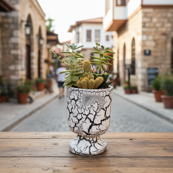 Beyaz Kupa Saksida Kaktüs Ve Skulent