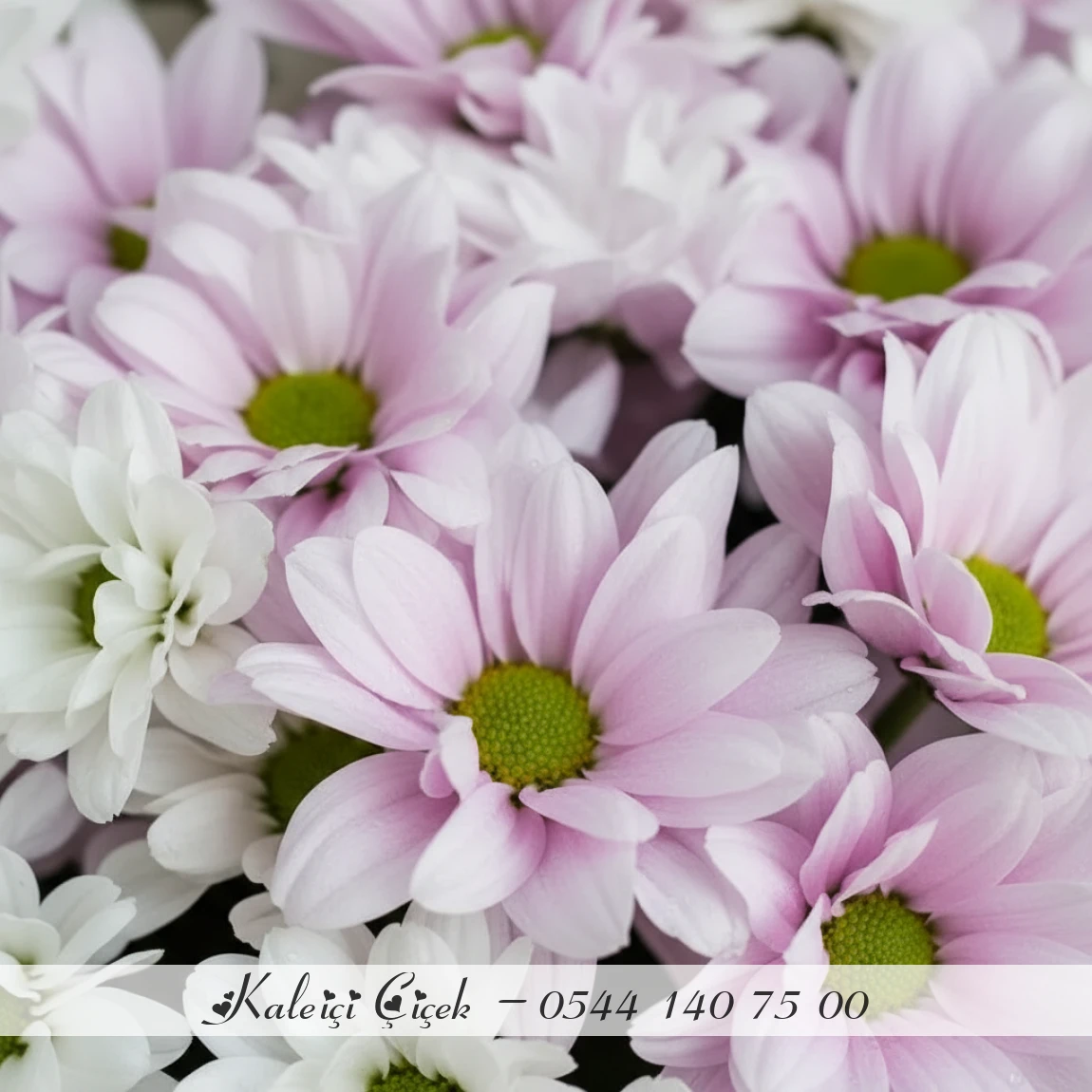 Beyaz & Lila Saflık Buketi