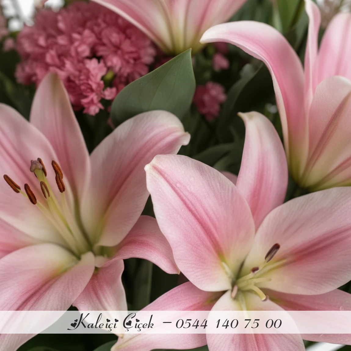 Cam Vazoda Büyük Pembe Lilyum