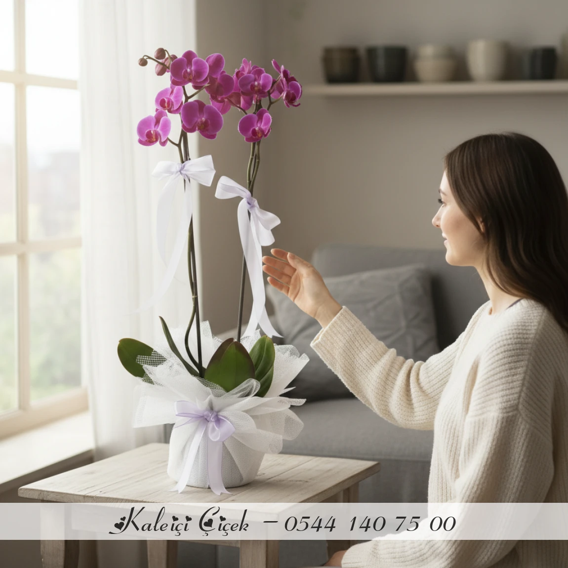 Çift Dal Aşılı İthal 1.Sınıf Fuşya Orkide