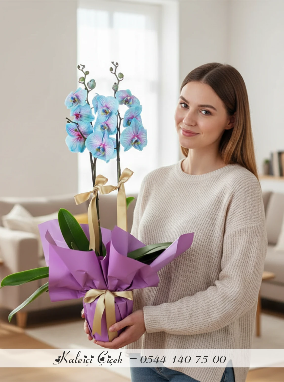 Çift Dal Mavi Pembe Orkide