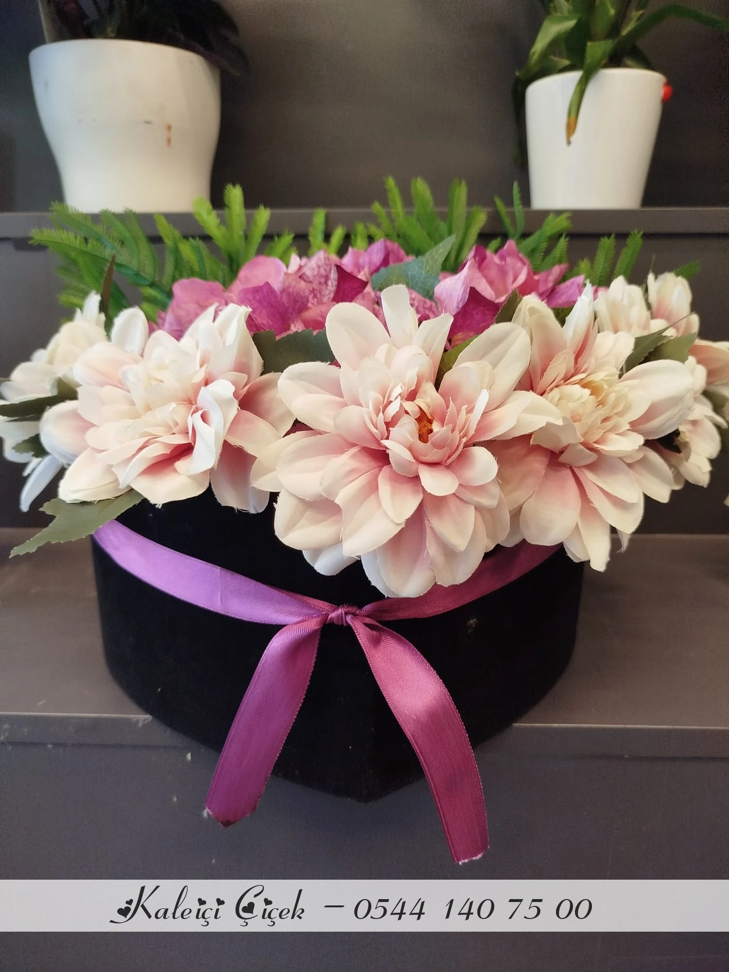 Kalpli Kutuda Ortancalar Yapay