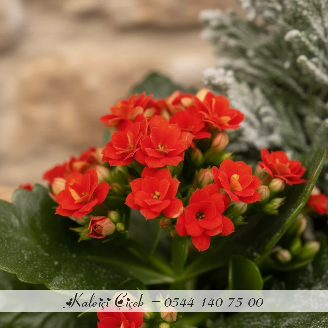 Karlı Yılbaşı Aranjmanı