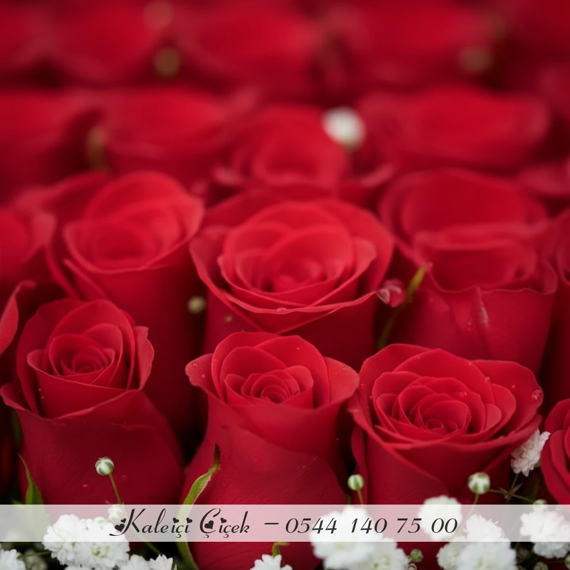 Kutuda 31 Adet Kırmızı Gül Ve Peluş Ayı