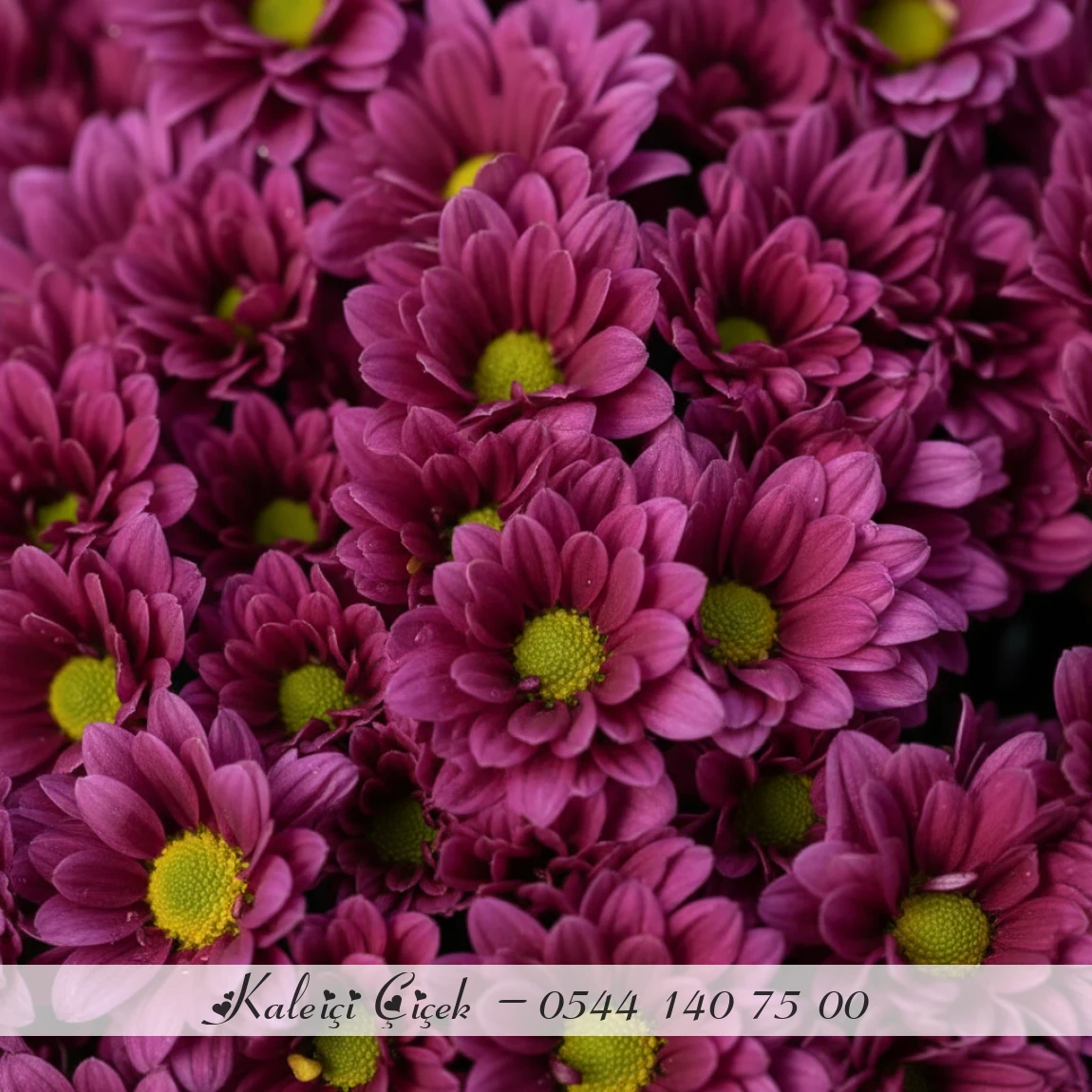 Mor Papatya Zarafeti Buketi