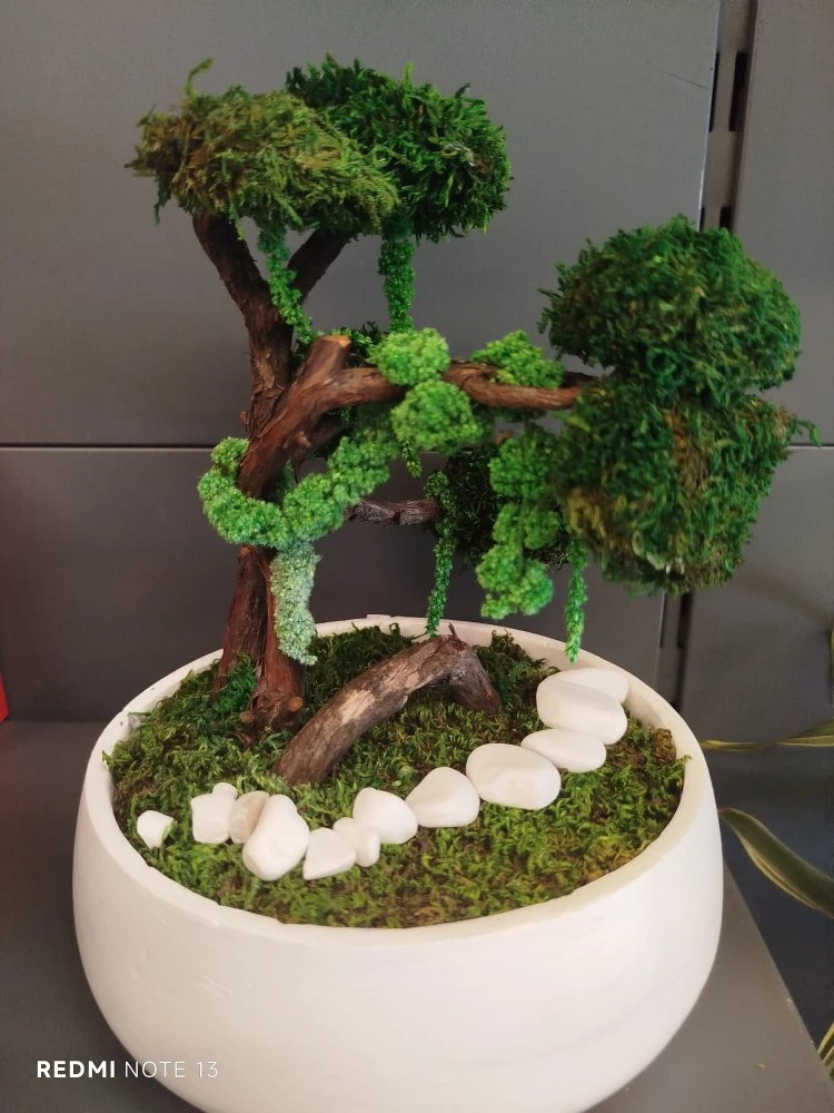 Mumyalanmış Bonzai̇